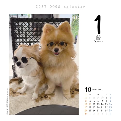 Dog Flipping 2027 Calendar Refill Daily Flipping CK-D27-02
