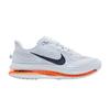 Air Zoom Pegasus Premium Airscape (Женский)