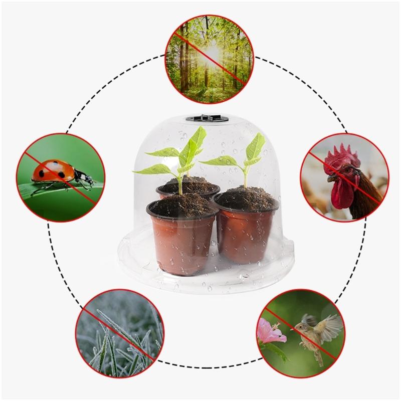 Прозрачные защитные чехлы для рассады Прозрачный защитный чехол Теплицы Улучшает рост растений в теплицах