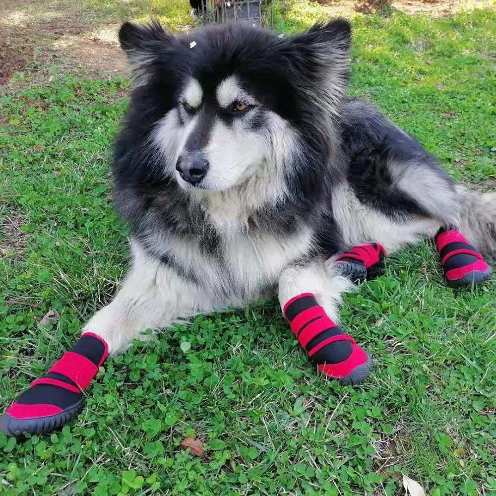 Autumn and Winter Outdoor Waterproof Sole Shoes Pet Supplies Dog Booties Dog Shoes Pet Rainshoes