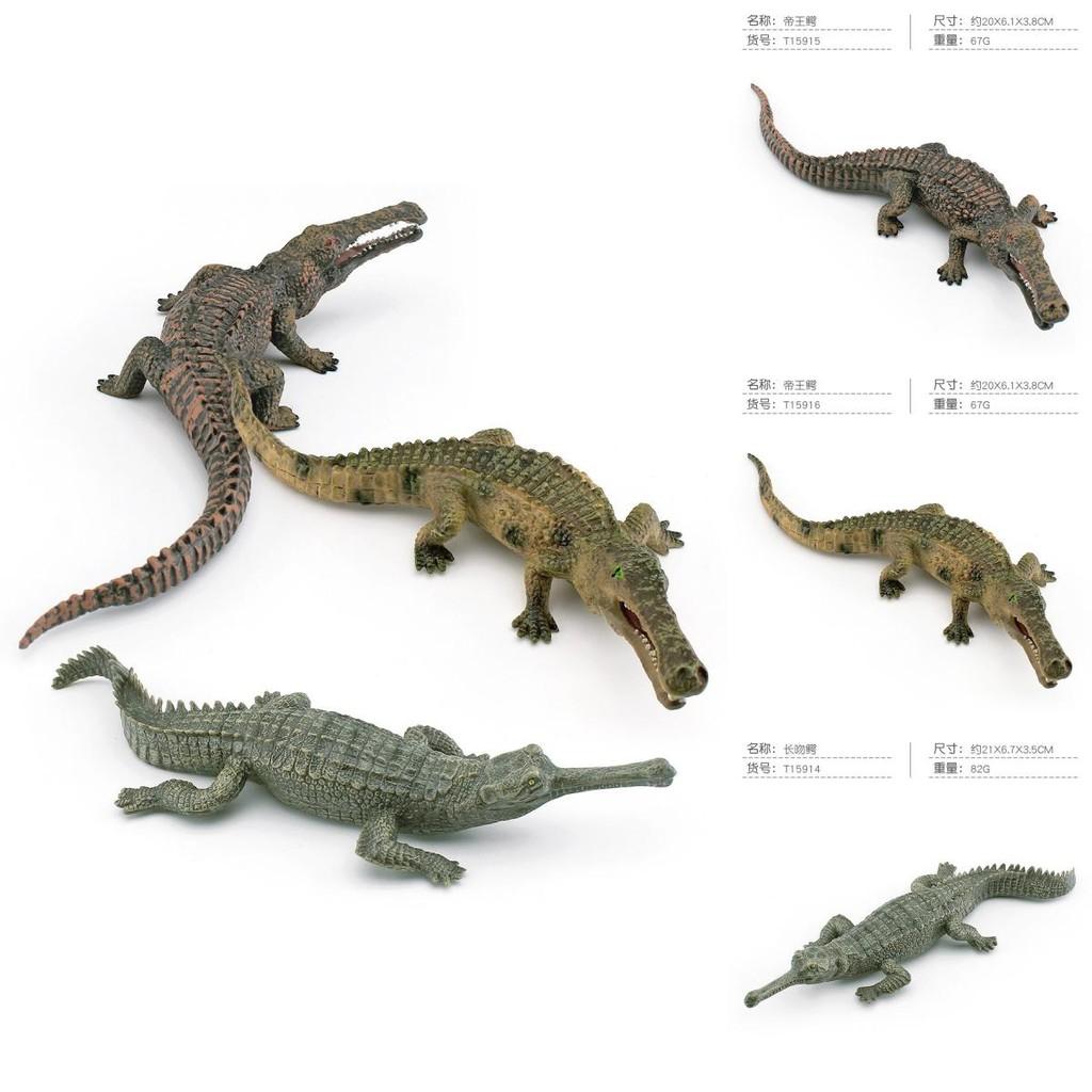 Crocodile Models Lifelike In Pvc Featuring Long Snouted And Emperor Crocodile Static Displays