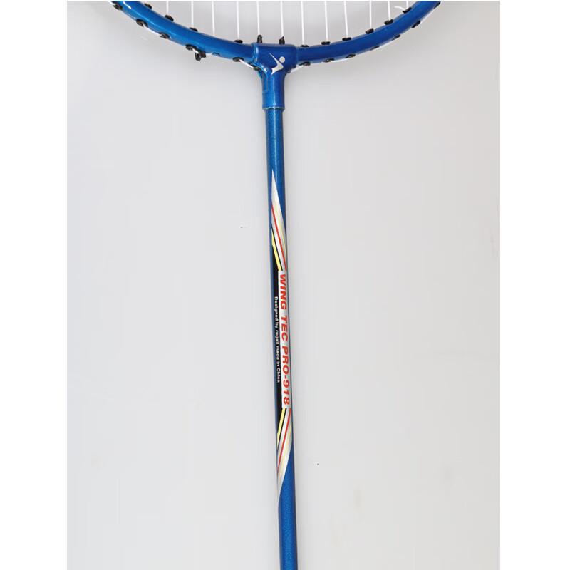 WEZHO Beginner Badminton Racket Set