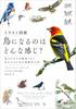 Иллюстрированное руководство о том, каково это — быть птицей: Введение в орнитологию для тех, кто хочет большего, чем просто визуальный ряд.