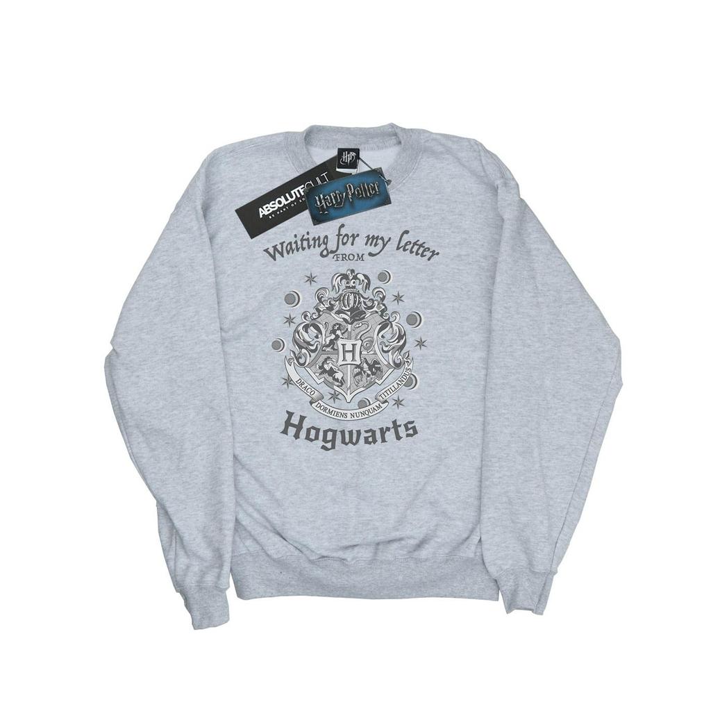 Harry Potter Womens/Ladies Hogwarts Waiting For My Letter Sweatshirt
