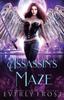 Книга Assassin's Magic 4 : Assassin's Maze : 4