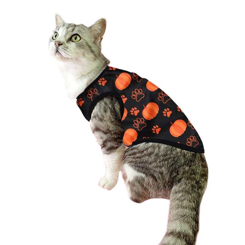 Одежда для кошек, костюм на Хэллоуин, двуногий котенок, жилет для щенков для маленьких собак, футболка с забавным принтом тыквы, йоркширская одежда