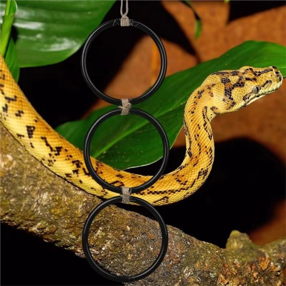 Enrichment Toy Reptile Climbing Toy 3 Ring Climbing Hoop Chain Birds Hoop Toy  Vivarium Cage