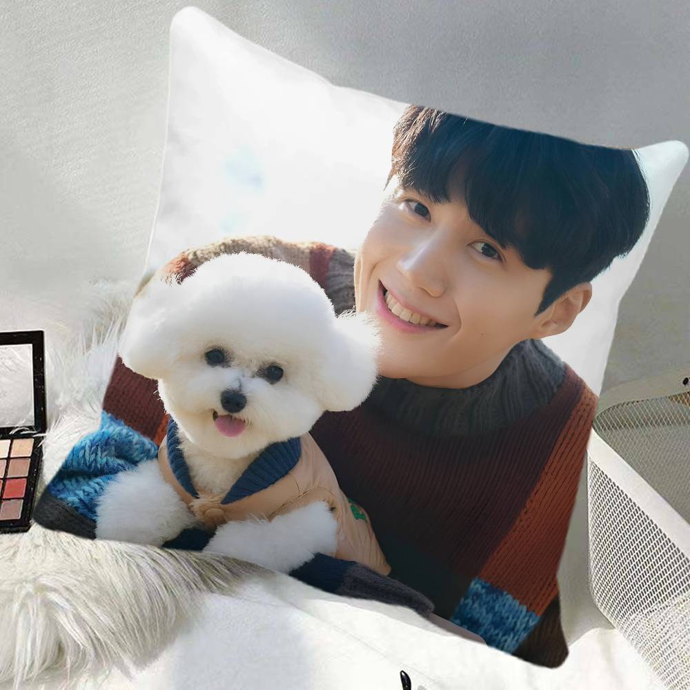 Kim Seonho Pillow Case Square Pillow Bedroom Sofa Leisure Comfort Cushion Car Home Decoration