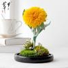 Sunflower Preserved Flower Glass Dome – Creative Real Flower Gift for Teacher's Day