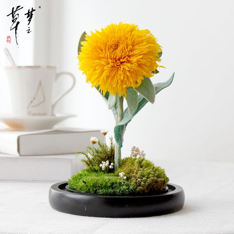 Sunflower Preserved Flower Glass Dome – Creative Real Flower Gift for Teacher's Day