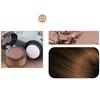 Natural Instantly Black Root Cover Up Hairline Powder Hair Fluffy Powder in 3 Colors Hair Line Shadow Concealers