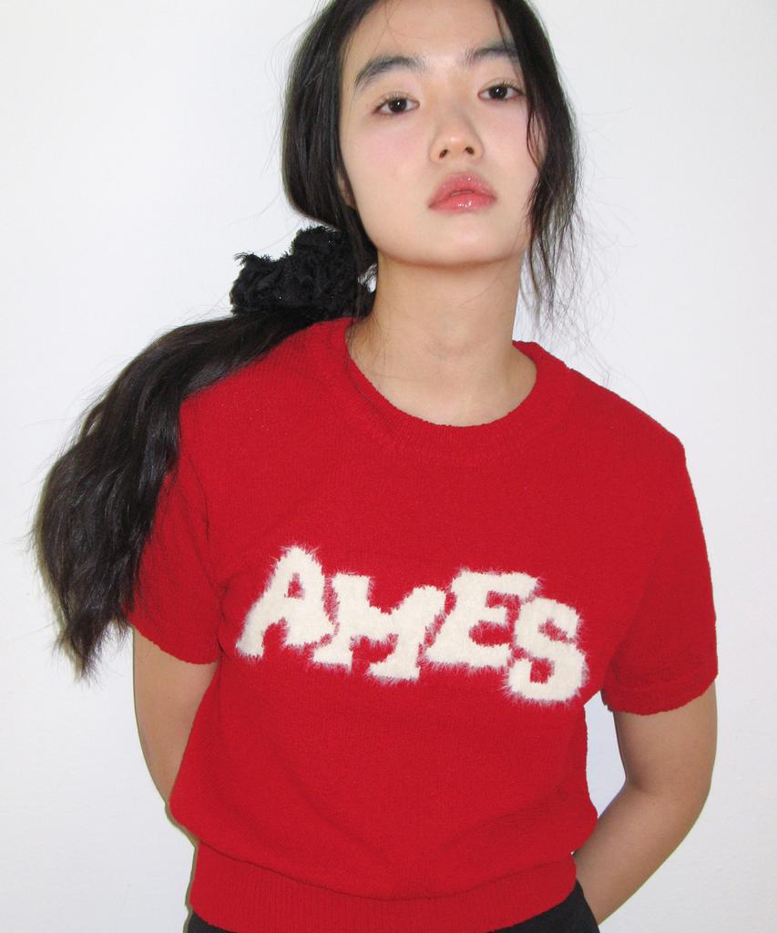 AMES-WORLDWIDE Hairy Logo Short Sleeve Knit Red