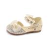 Children's Crystal Shoes Girls Princess Shoes Soft Sole Performance Shoes Evening Dress Small Leather Shoes