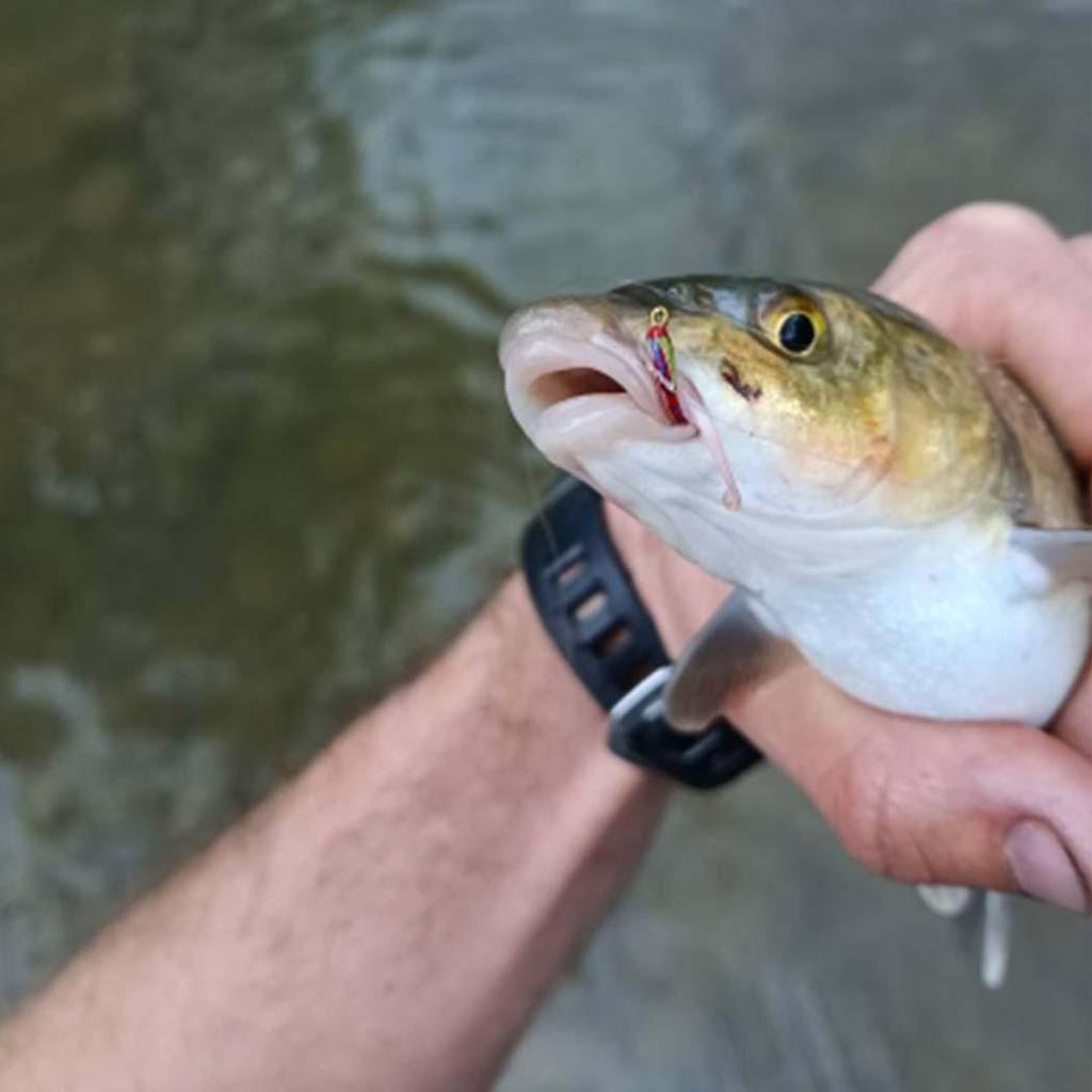 24 шт./кор. Ассорти из эпоксидной нимфы, мухи, мошки, форели, форели, наживка для ловли нахлыстом, искусственные приманки