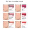 MAQUILLAGE Dramatic Cheek Color PK321 Berry Macaron 3g Cheek Powder Type Flourish and Glowing Cream Pink Shiseido (Powder) Cheek,