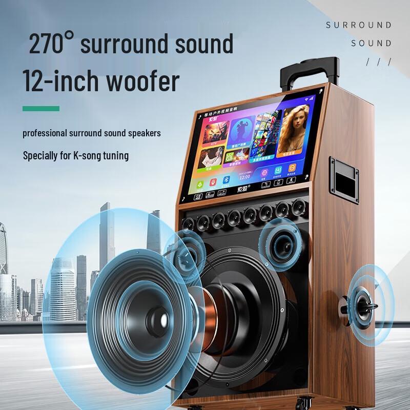 Soaiy SA-K10S Portable Outdoor KTV & Instrument Speaker
