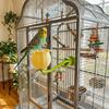 Bite Resistant Tulip Parrot Food Bowl 3D Printed Parrot Standing Stick  Pet Interactive