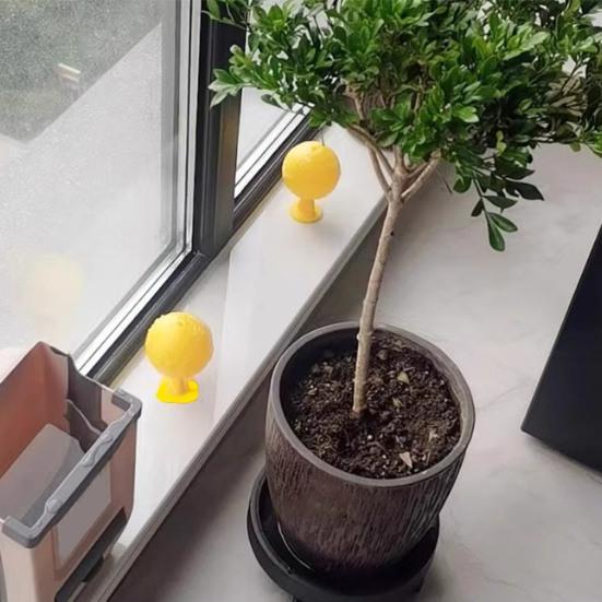 2/3/5Pcs Fly Restaurant Trap Ball with Sticky Kitchen Small Flying Animals