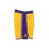 Nike NBA Icon Edition Team Limited Летние дышащие баскетбольные шорты со средней посадкой SW Fan Version Мужские брюки желтые AJ5617-728