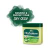 Vaseline for Skin Dabur Herbolene Aloe Vera 115 Ml