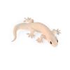Animal Figurines Simulation Lizard Figures Cognition Toys Gecko Figurine Toy  Party Gift