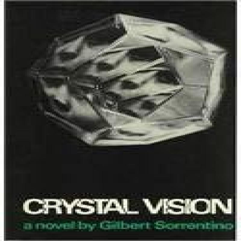 Crystal Vision by Gilbert Sorrentino Hardback Book 9780714527598