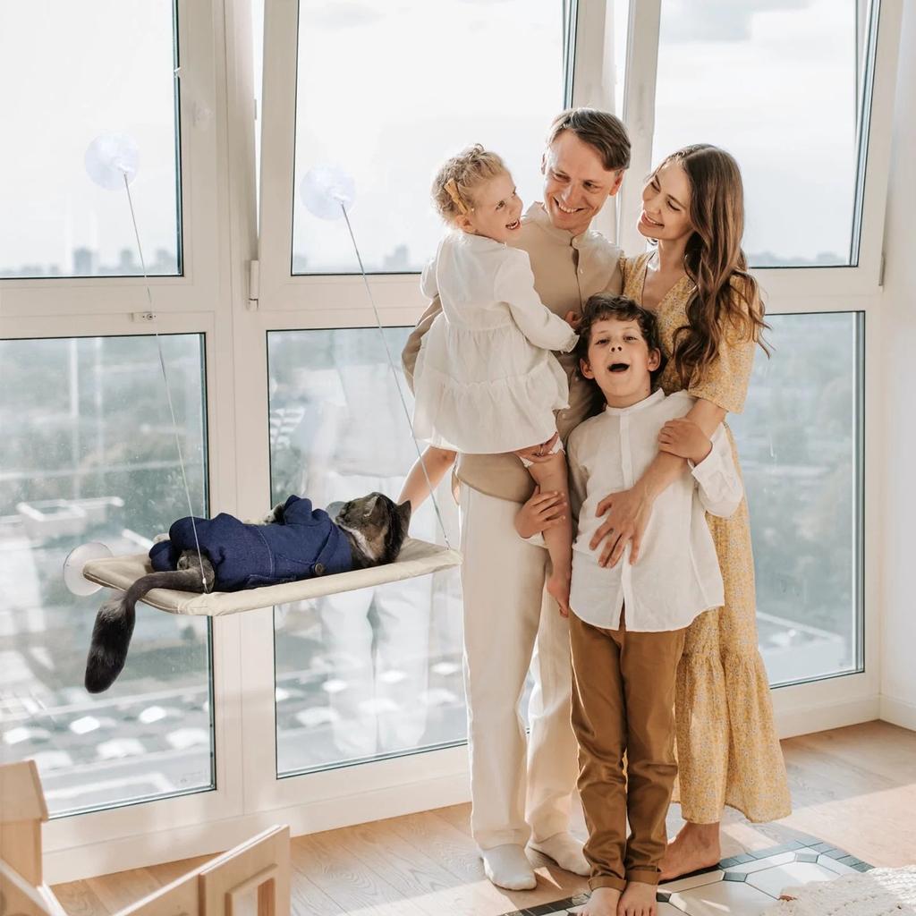 Товары для животных Присоски Кровати Четыре сезона Съемные и моющиеся Оконные полки Кровати