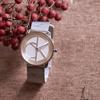 Calvin Klein Quartz Watch 35Mm Gray Dial Fashion Large Logo Watch Women watches 25200033
