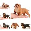 Educational Simulation Bulldog Ornaments Pitbull Figurine Garden Decor Bulldog Model  Collection