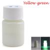 20g Cool Party DIY Craft Glow In The Dark Luminous Paint Pigment Acrylic