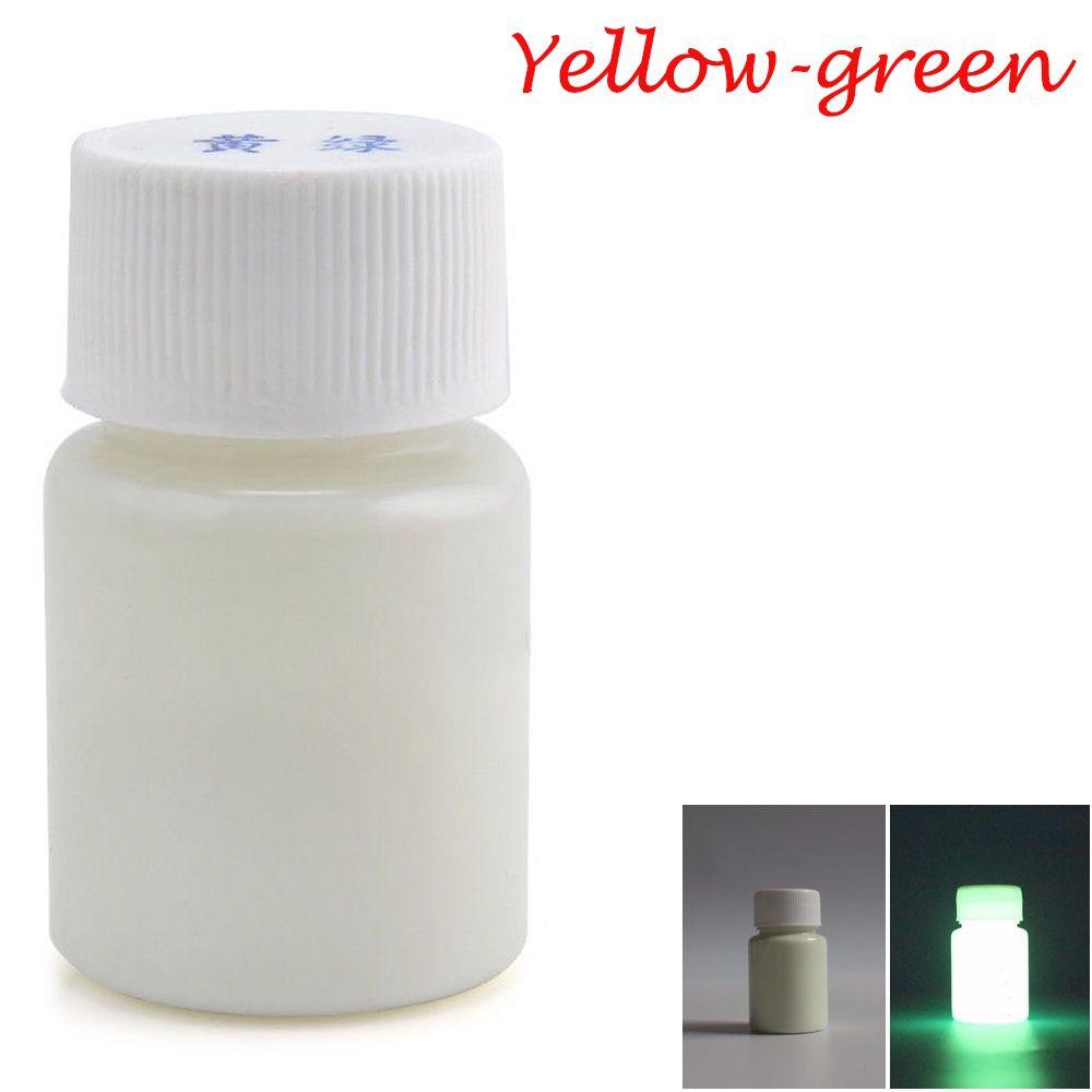 20g Cool Party DIY Craft Glow In The Dark Luminous Paint Pigment Acrylic