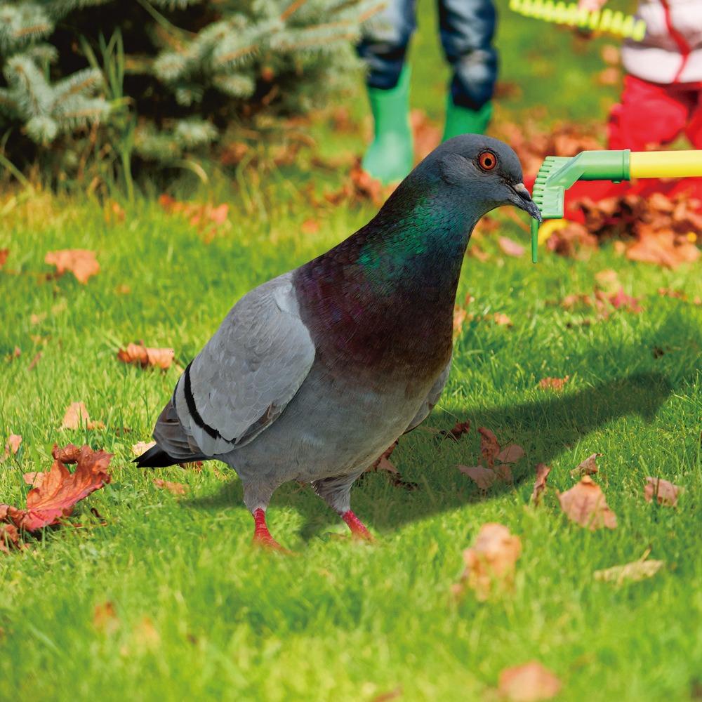 Double-Sided Printing Pigeon Sculpture Acrylic Pigeon Statues Wild Pigeon Decorations Realistic