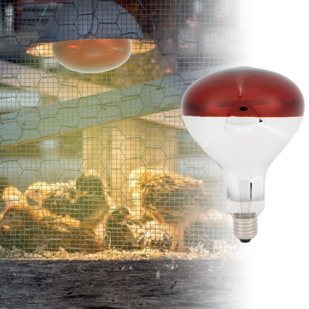Chicks Heat Lamp Bulb Infrared Basking Spot Heat Reptile Heat Lamp Red Bulb for Brooder 220V / 250W
