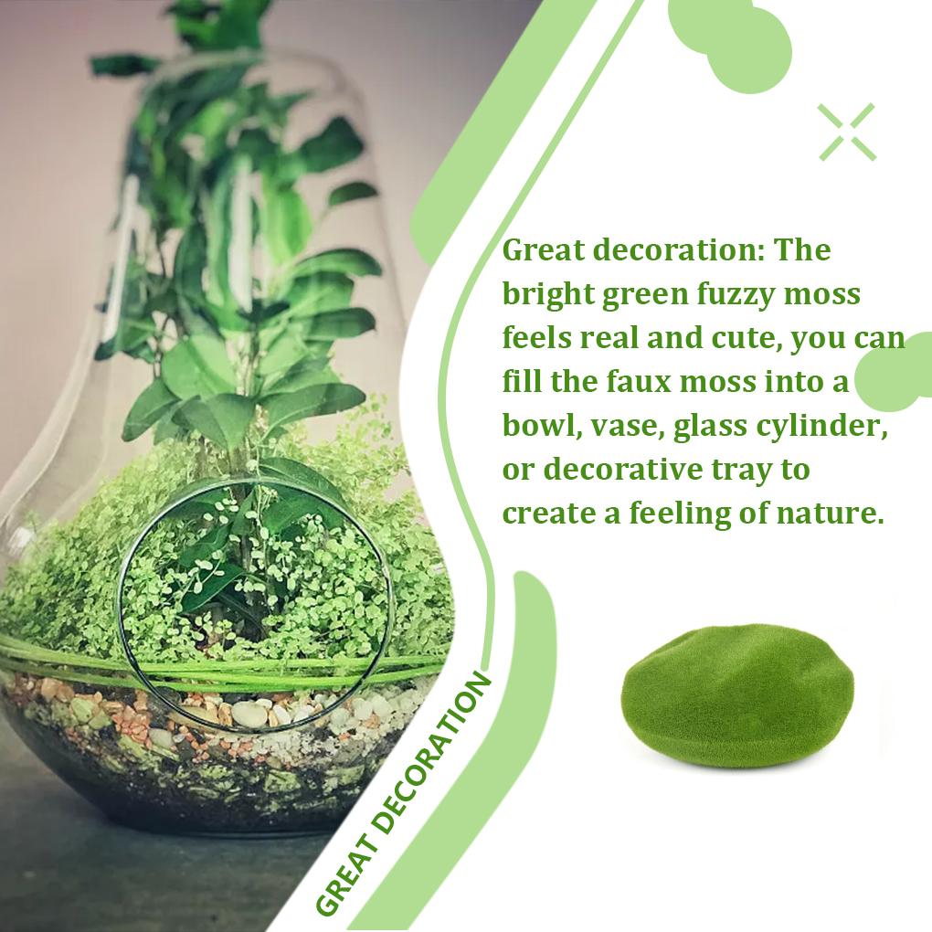 Террариумный орнамент Тропический лес Диорама Принадлежности Зачарованный лес Украшения для вечеринок Бонсай Ассорти из зеленых растений Пейзаж