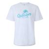 Quiksilver Mens Graphic Print T-Shirt
