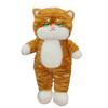 Новый узор Плюшевая игрушка кошка Кукла Милая кошка Забавная кукла с выражением Девочка Подушка для обнимания