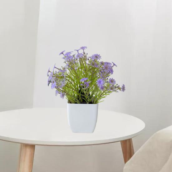 Красивые растения в горшках, не требующие полива, создают романтическую атмосферу