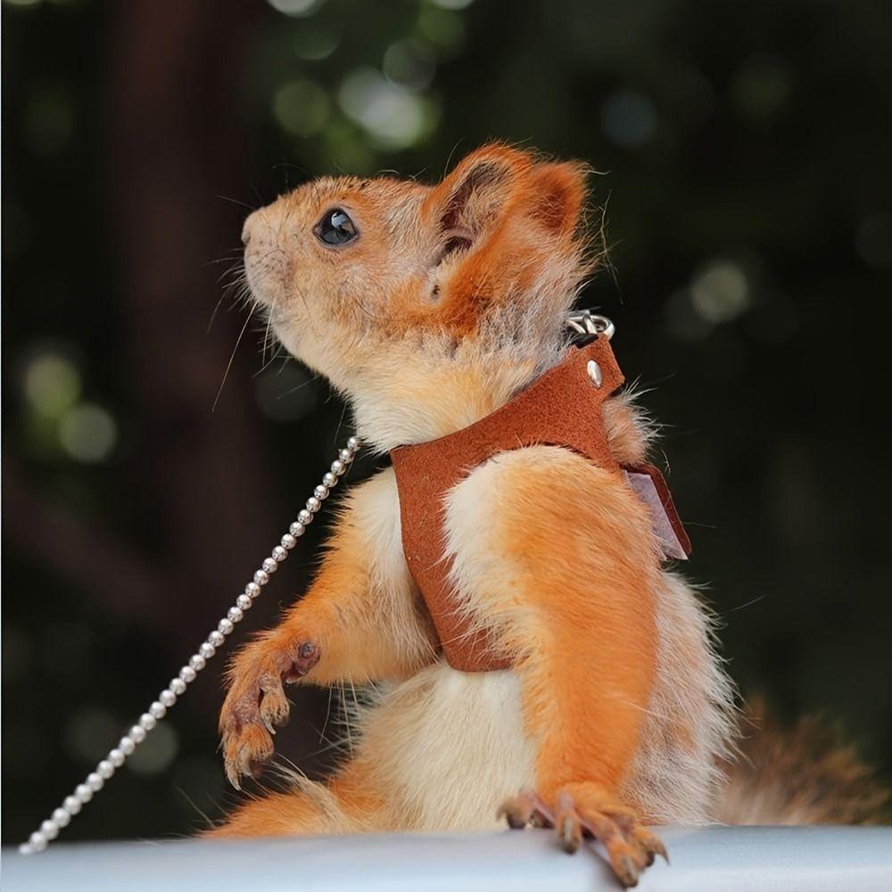 Leather Rat Harness and Leash Set 3 Sizes Vests Reptile Harness Kit  For  Squirrels, Hamsters