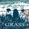 Grass by Keum Suk GendryKim Paperback Book 9781770463622