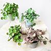 Green Artificial Plant Soft Glue Simulation Bonsai NEW Succulent Plants Leaves Home Office