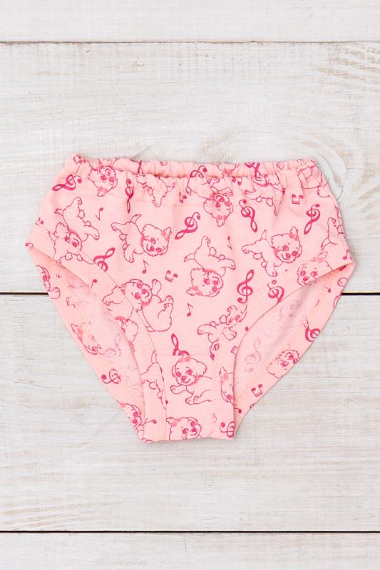 Panties (Girls) Any Season 272-002V HC