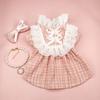 INS Pet Dog Plaid Dress with Clip Hair Cute Colling Set Cat Clothing Spring Autumn Niche Lace Dress Dog Clothing for Small Dogs
