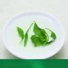 2024 Новый зеленый чай High Mountain Cloud Mist Biluochun Maojian 500 г