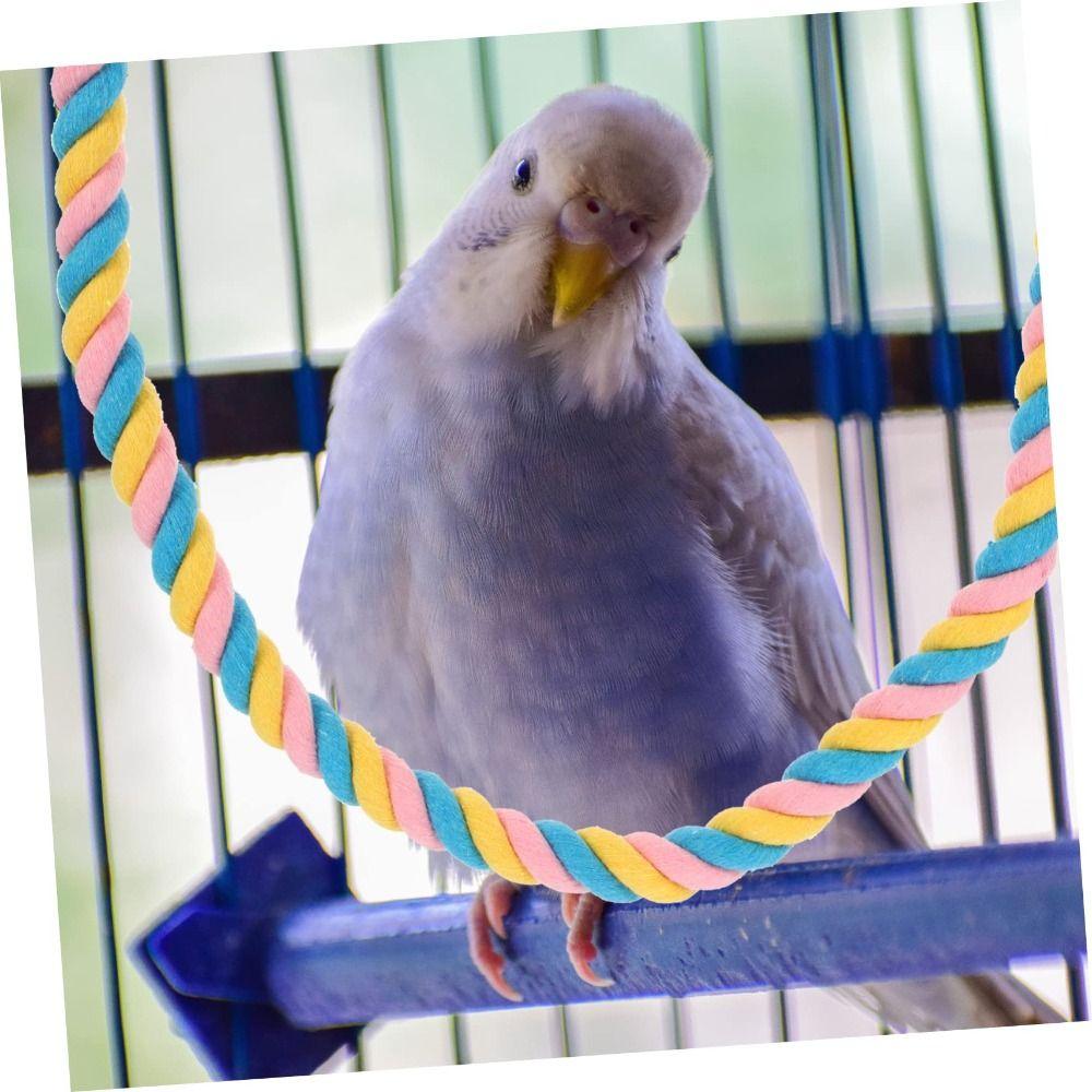 Cockatiel Cage Toy Climbing Rope Bird Toy Parrot Hanging Pet Supplies Rotating Swing