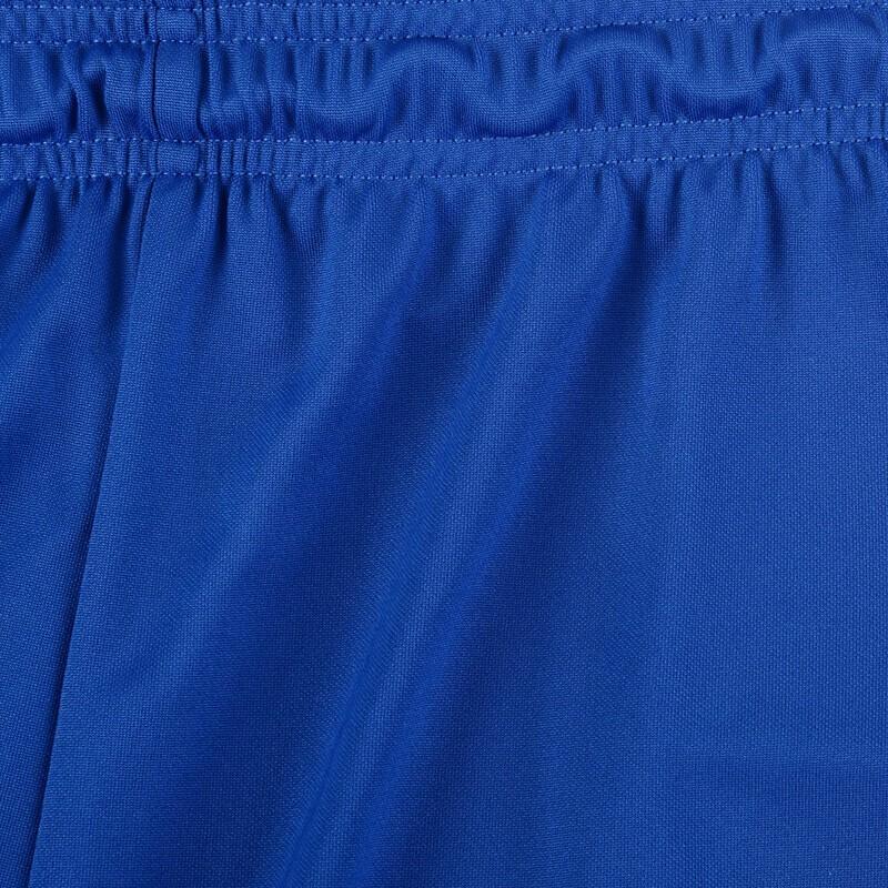Nike Casual Shorts Men's Royal Blue AO4150-463