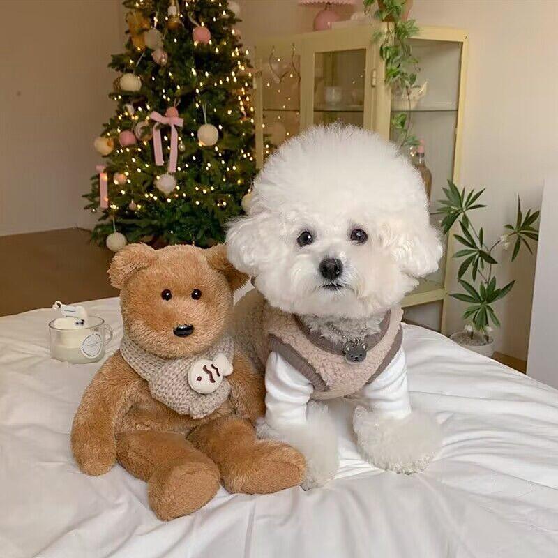 Pet Cotton Coat Autumn And Winter Schnauzer Teddy Bichon Pomeranian Cat And Dog Clothes Thickened And Warm