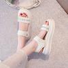Open-toed platform muffin sandals women's 2025 summer wear fashion high-end Velcro heightening beach shoes ins