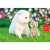 [Made In Japan] Beverly 300 Piece Jigsaw Puzzle Love Feelings (26 X 38cm) P33-198 White
