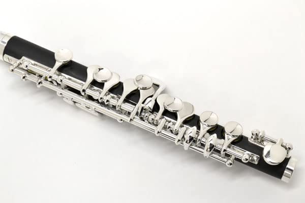 Дж. Майкл Пикколо PC-400