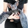 Adorable Bat Plush Toy Soft Halloween Gift for Kids Cute Decor 24cm Stuffed Animal
